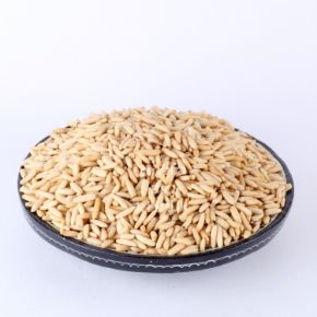 Picture for category Pine Nuts