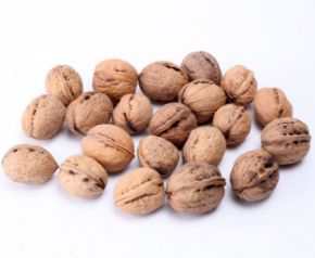 Picture for category In-shell Walnuts