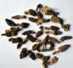 blacl-morels-with-tails-50-gm