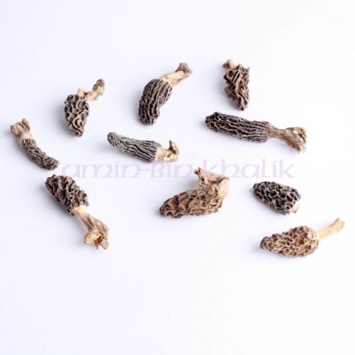 miniature morels from kashmir