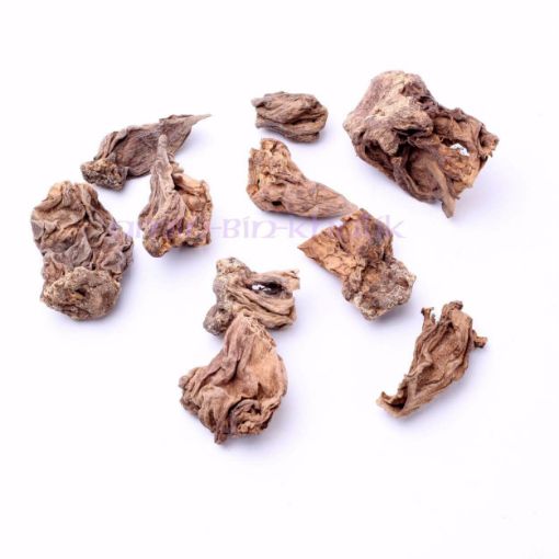 tails of morel mushrooms