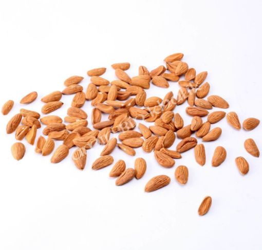 organic mamra almonds
