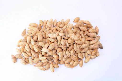 one tree almonds in-shell