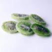 dried kiwi slices from new zealand 