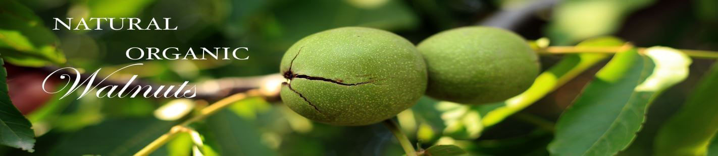 organic walnuts
